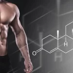 كيف تزيد هرمون التستوستيرون؟
