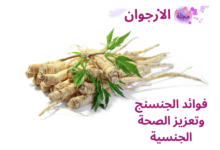 فوائد الجنسنج