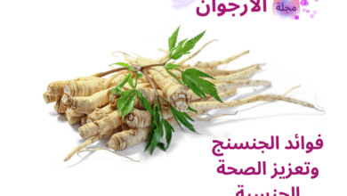فوائد الجنسنج