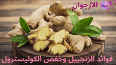 فوائد الزنجبيل وخفض الكوليسترول