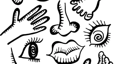 جسم الإنسان باللغة الانجليزية