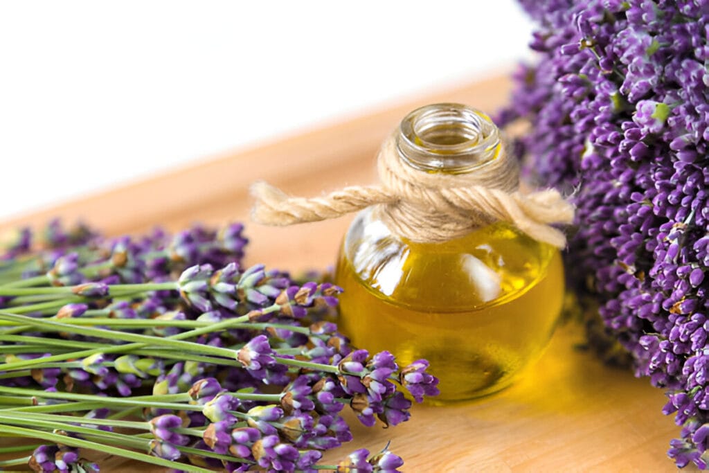 Lavender oil
