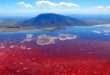 Lake Natron