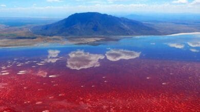 Lake Natron